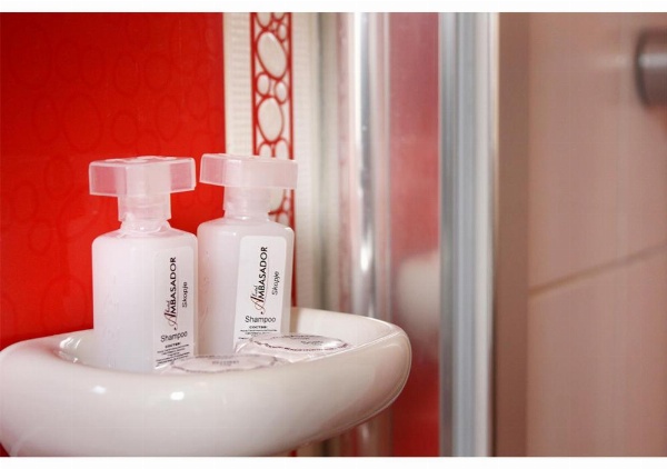 Hotel Ambasador image 18